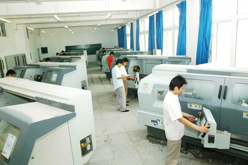 技藝雙全，大機械閃耀未來