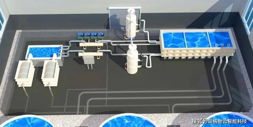 科技力量引領水產養殖新模式 信息技術咨詢服務的角色與前景
