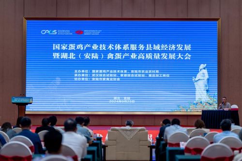 國家蛋雞產業技術體系服務縣域經濟發展大會在安陸召開，信息技術咨詢服務助力產業升級